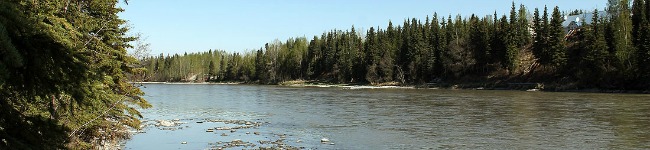 Kenai River